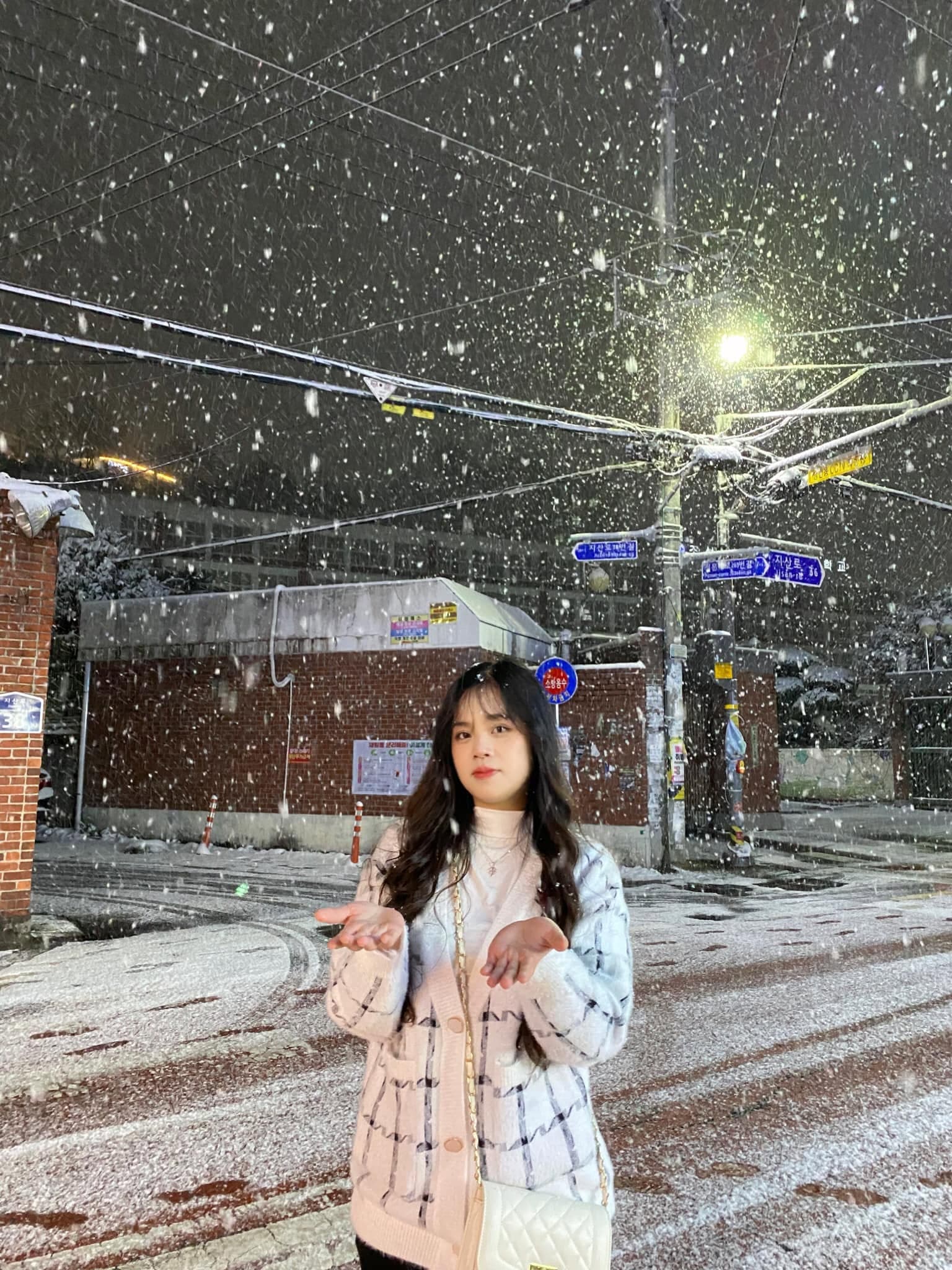 Snowy Night in the City